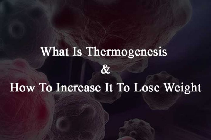 What-Is-Thermogenesis-And-How-To-Increase-It-To-Lose-Weight