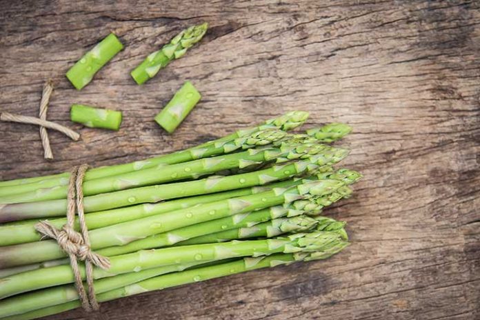 What-Is-Asparagus-And-Its-Benefits