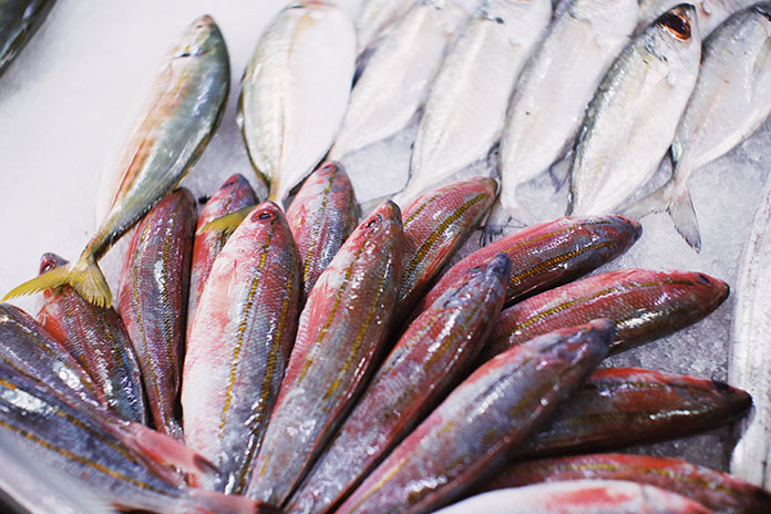 Fish Characteristics and Nutritional Values